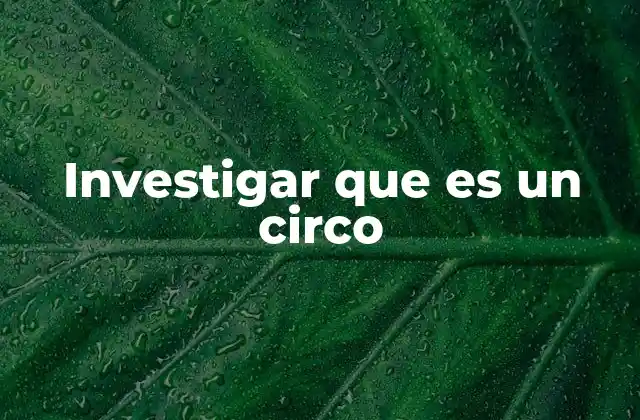 Investigar que es un Circo