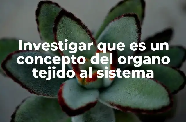 Investigar que es un Concepto Del Organo Tejido Al Sistema
