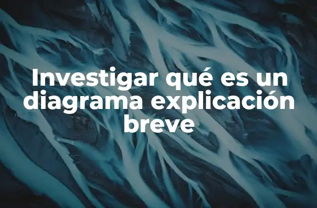 Investigar Qué es un Diagrama Explicación Breve