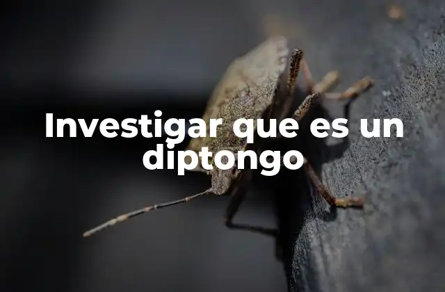 Investigar que es un Diptongo 2 Cómo se diferencian los diptongos de otros fenómenos vocálicos