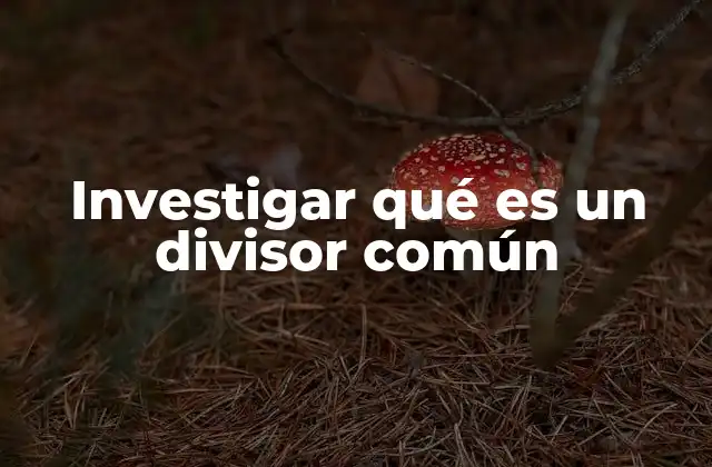 Cómo se relacionan los números a través de sus divisores