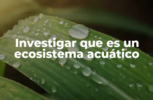 Diferencias entre los ecosistemas acuáticos y terrestres