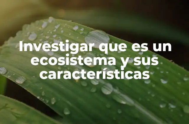 Investigar que es un Ecosistema y Sus Características