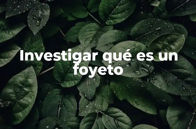 Investigar Qué es un Foyeto
