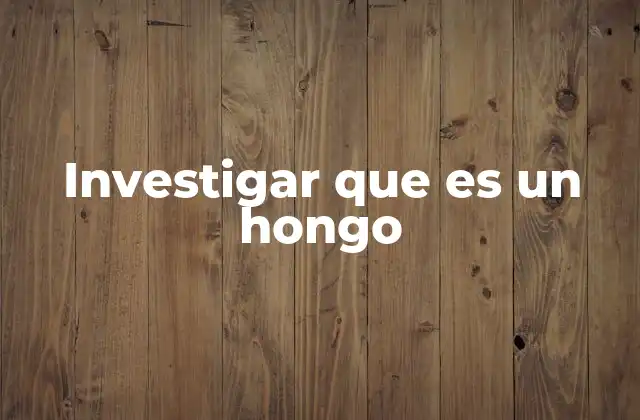 Los hongos en la naturaleza y la ecología