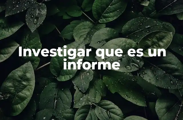 Investigar que es un Informe