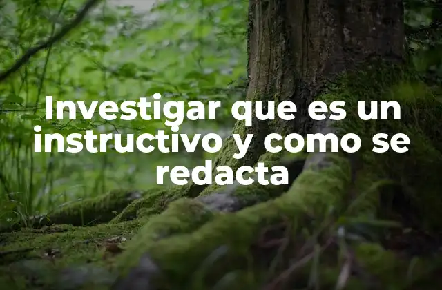 Investigar que es un Instructivo y como Se Redacta 2 La importancia de estructurar correctamente un instructivo