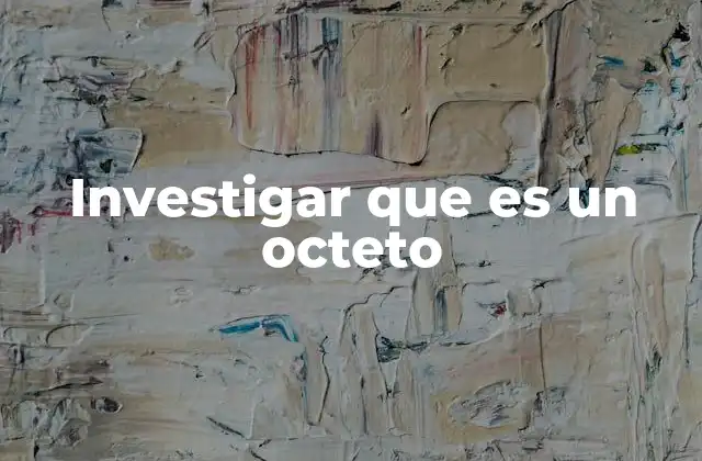 Investigar que es un Octeto