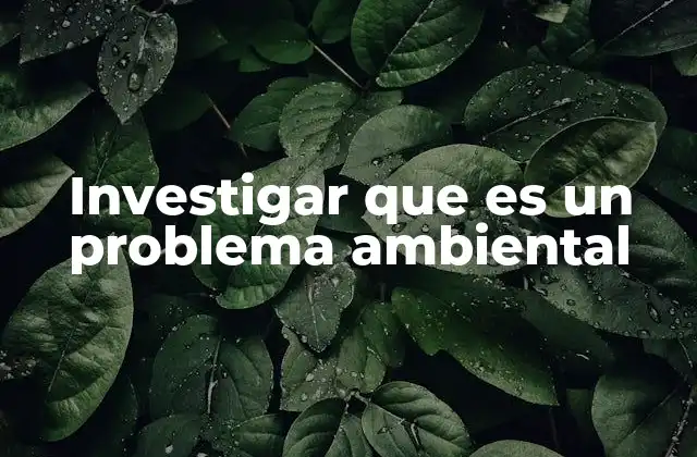 Investigar que es un Problema Ambiental