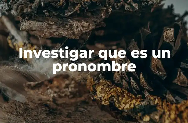 Investigar que es un Pronombre