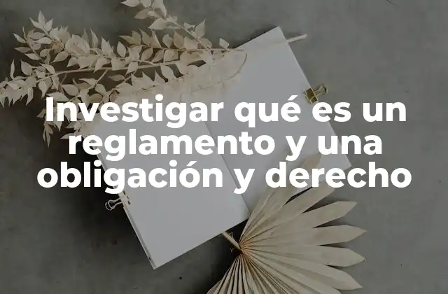 Investigar Qué es un Reglamento y una Obligación y Derecho