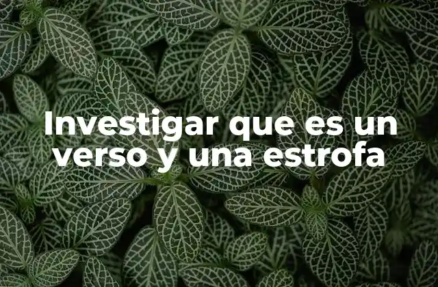 El papel del verso y la estrofa en la poesía