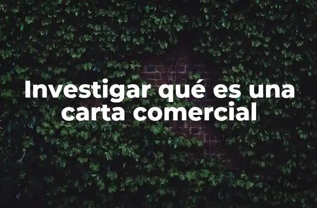Investigar Qué es una Carta Comercial