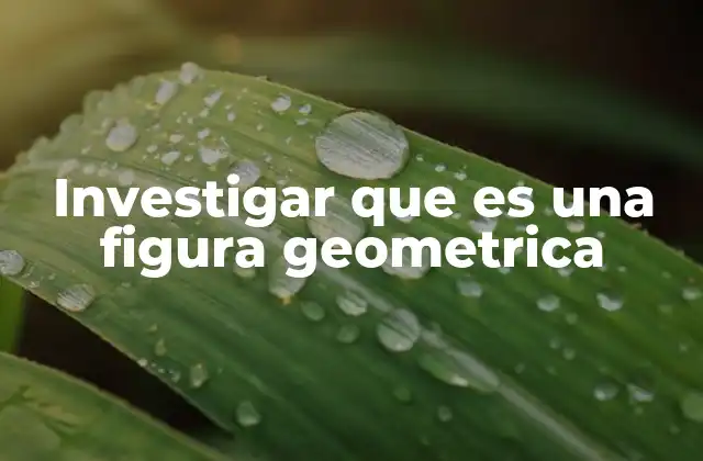 La importancia de comprender las figuras en el estudio de las matemáticas