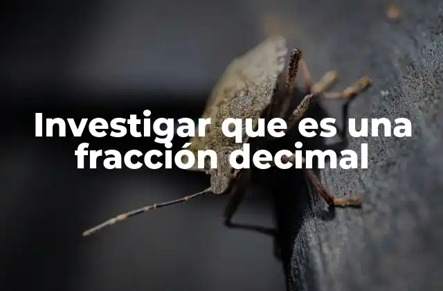 Investigar que es una Fracción Decimal