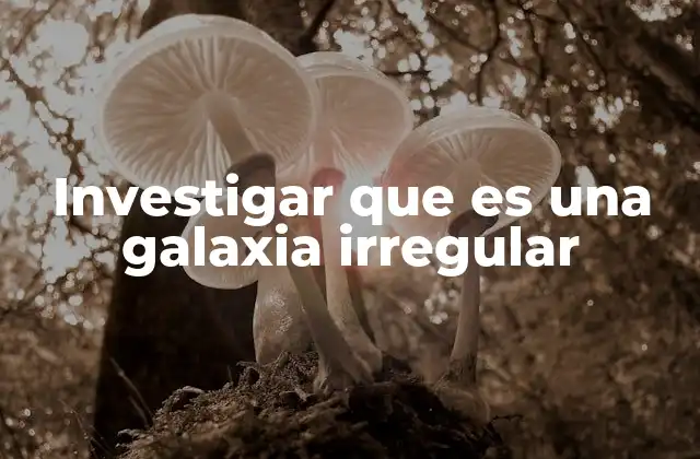 Investigar que es una Galaxia Irregular