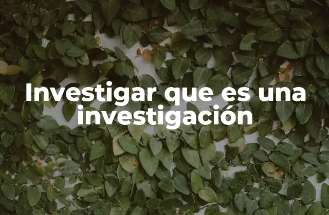 Investigar que es una Investigación