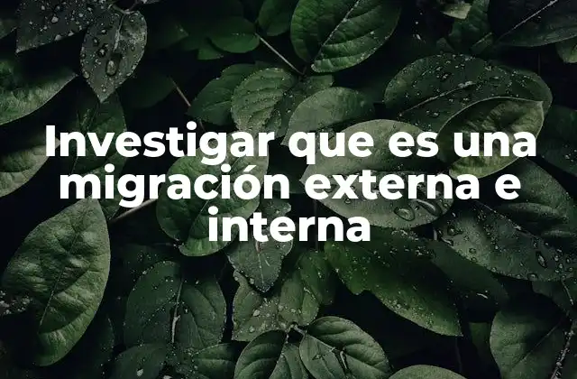 Investigar que es una Migración Externa e Interna