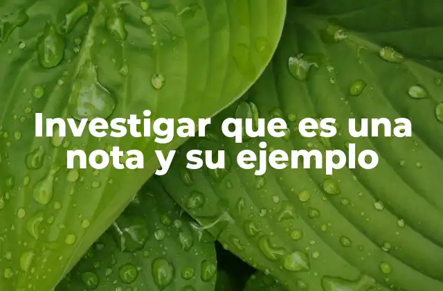 Investigar que es una Nota y Su Ejemplo