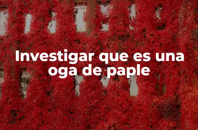 Investigar que es una Oga de Paple