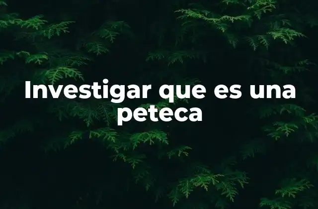 Investigar que es una Peteca 2 El origen y evolución de la peteca