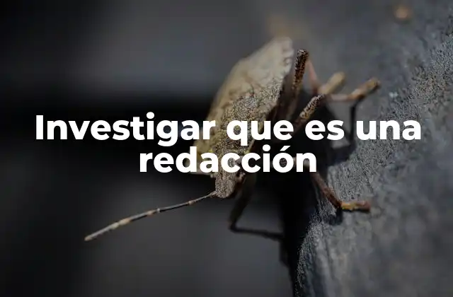 Investigar que es una Redacción