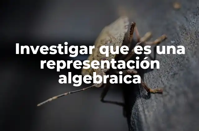 Investigar que es una Representación Algebraica