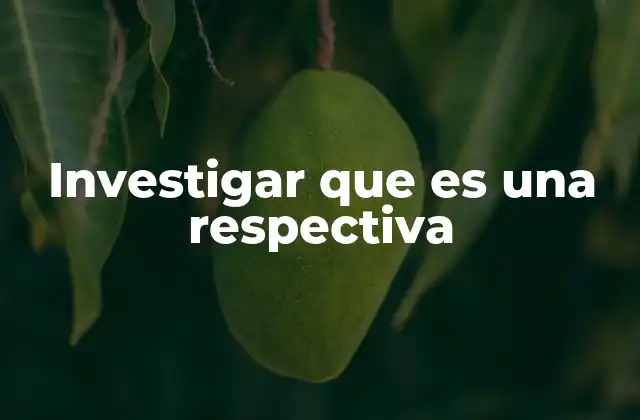 Investigar que es una Respectiva