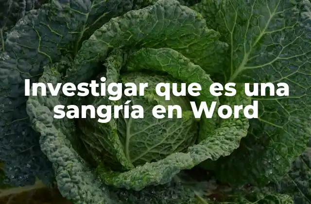 Investigar que es una Sangría en Word