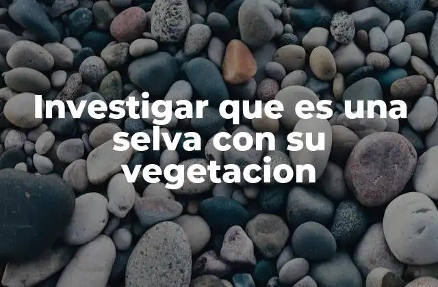 La importancia de estudiar la vegetación en los ecosistemas selváticos