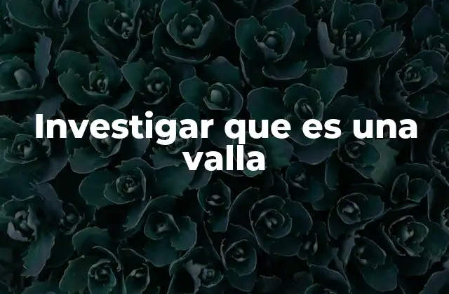 Investigar que es una Valla