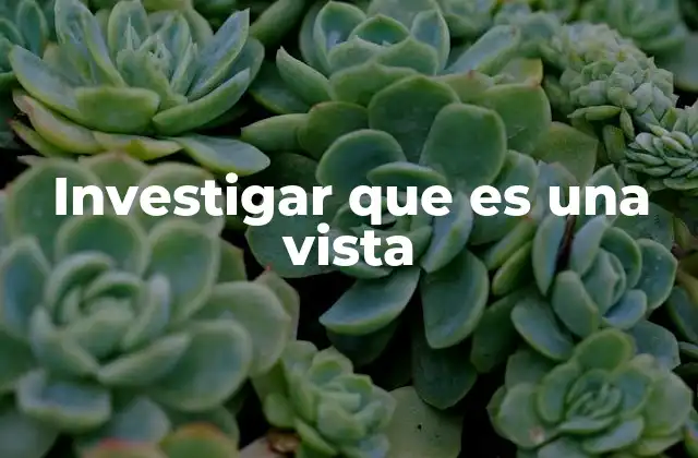 Investigar que es una Vista