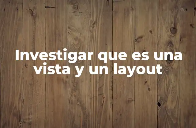 Investigar que es una Vista y un Layout