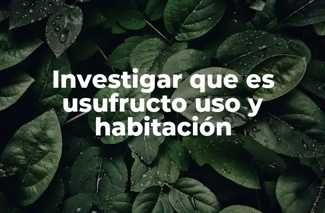 Investigar que es Usufructo Uso y Habitación