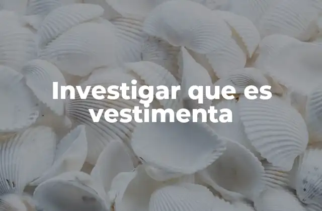 Investigar que es Vestimenta