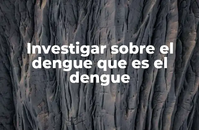 Investigar sobre el Dengue que es el Dengue