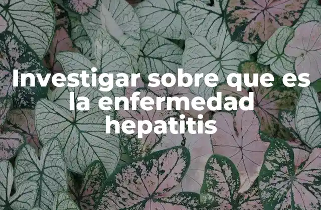 Investigar sobre que es la Enfermedad Hepatitis