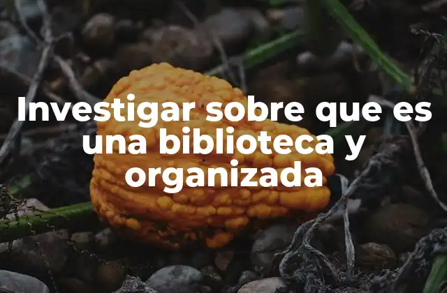 Investigar sobre que es una Biblioteca y Organizada