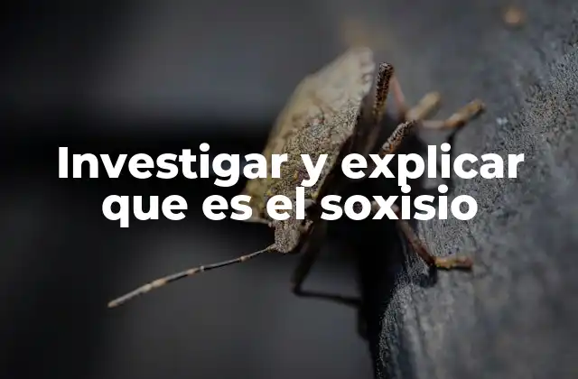 Investigar y Explicar que es el Soxisio