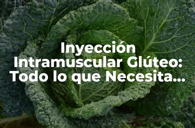 ¿Cuál es el Propósito de la Inyección Intramuscular Glúteo?