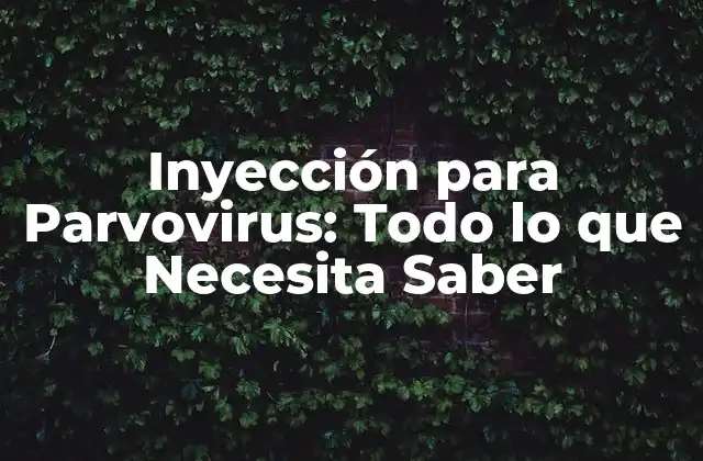 Inyección para Parvovirus: Todo Lo que Necesita Saber