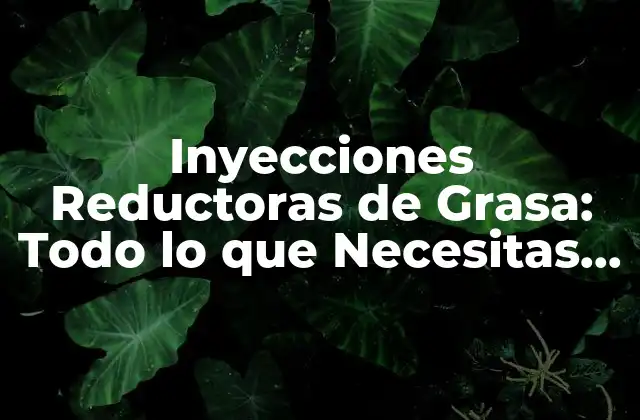 Inyecciones Reductoras de Grasa: Todo Lo que Necesitas Saber