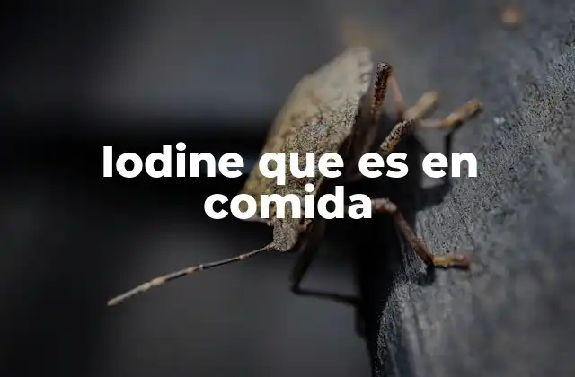 Iodine que es en Comida