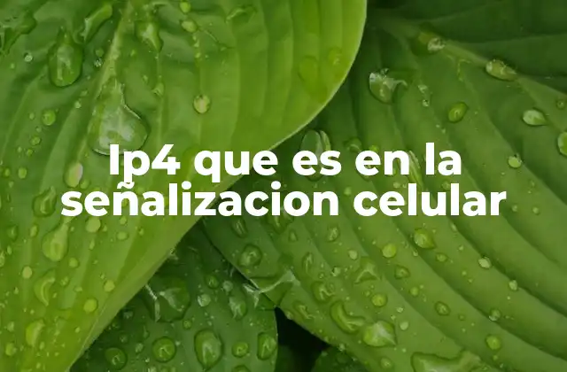 Ip4 que es en la Señalizacion Celular