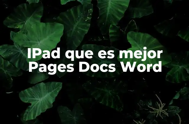Ipad que es Mejor Pages Docs Word 2 Comparación de herramientas de oficina para iPad