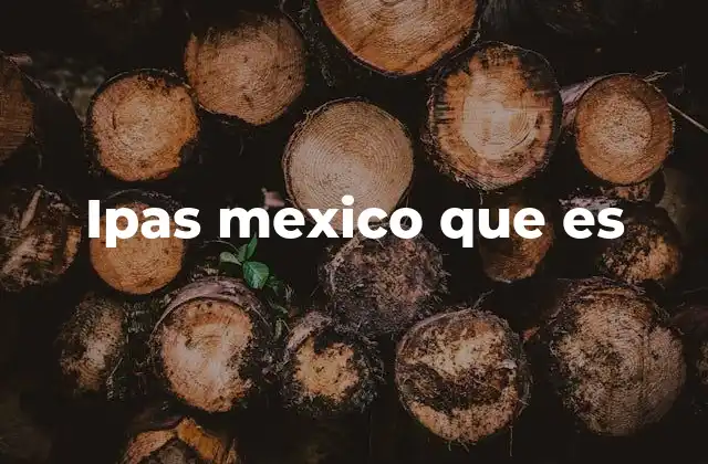 Ipas Mexico que es
