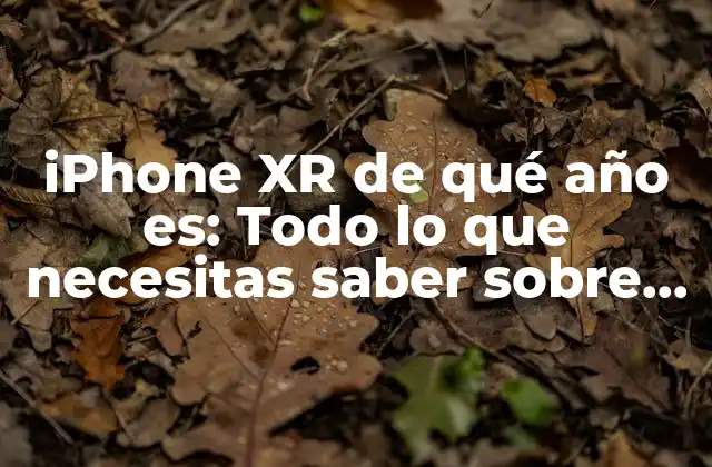 Iphone Xr de Qué Año Es: Todo Lo que Necesitas Saber sobre Este Dispositivo