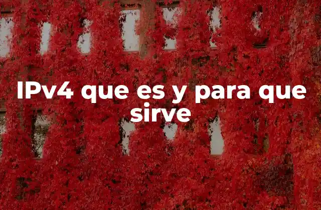 Cómo funciona la asignación de direcciones IP
