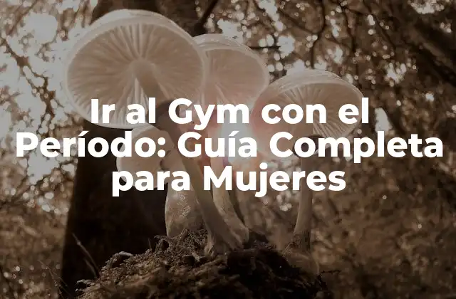 Ir Al Gym con el Período: Guía Completa para Mujeres