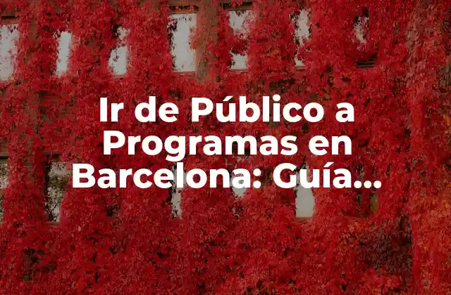 Ir de Público a Programas en Barcelona: Guía Completa